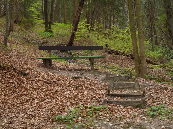 Bank am Wegrand tief im Wald.