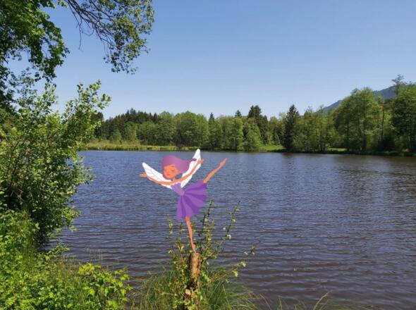 Sagenhafte Kräuter und wo sie zu finden sind - Schönauer Weiher