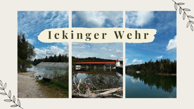 Ickinger Wehr Eindrücke der Kräuter 2 Go - DYI Genusstour