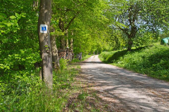 Wanderweg 3, Nähe Roßmühle
