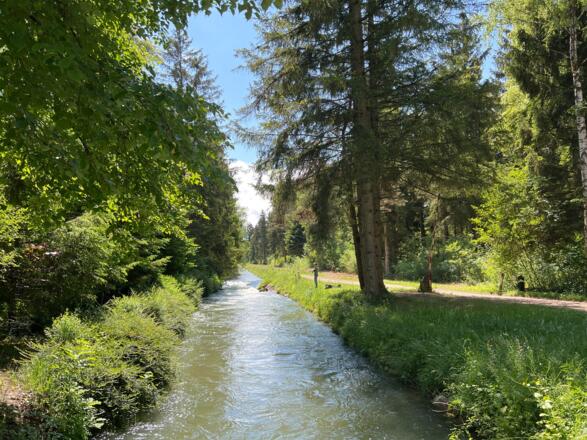 Lochbach beim Mandichosee