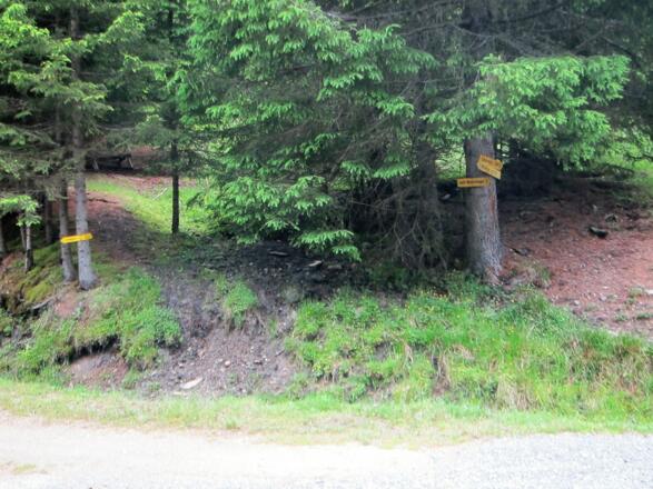 immer Richtung Profeglalm