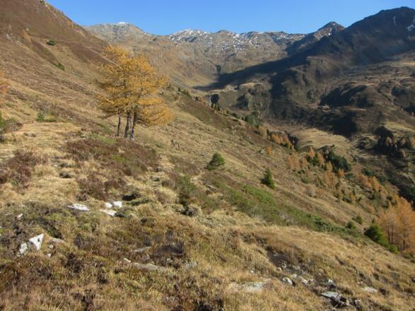 immer dem Hand entlang taleinwärts