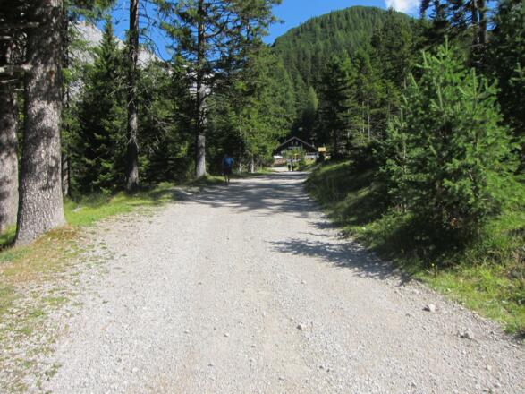 Forststraße zum Lehnberghaus