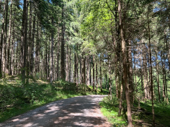 Lechradweg Richtung Schongau