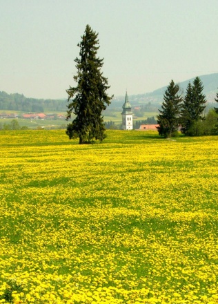 Rottenbuch vom Weg nach Wildsteig