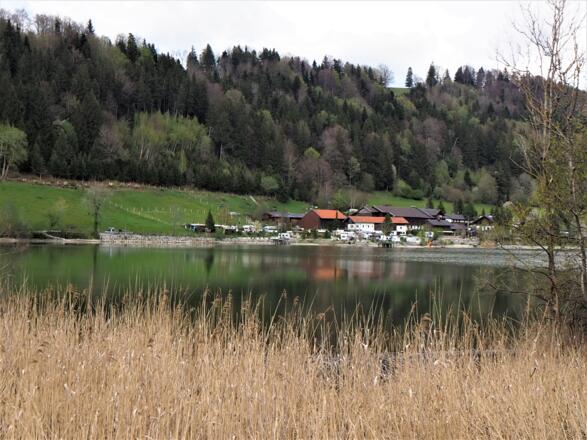 Stallauer Weiher