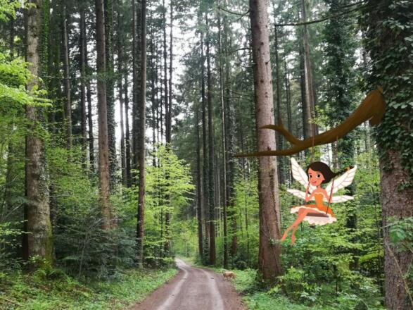 Sagenhafte Kräuter und wo sie zu finden sind