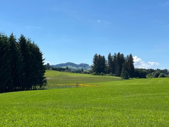 Lechradweg Dessau Richtung Burggen
