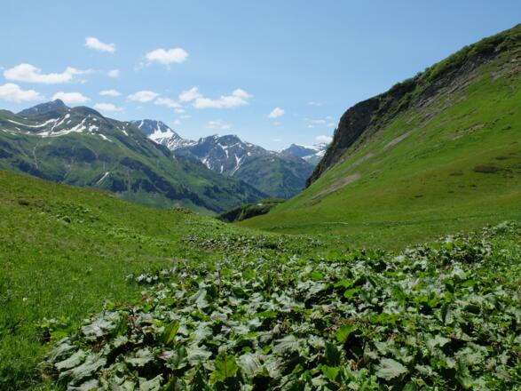 Blick nach Bürstegg