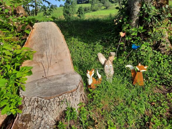 Schöner Platz Altweg Bolsternang