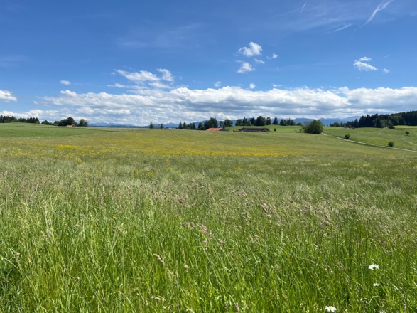 bei Burggen