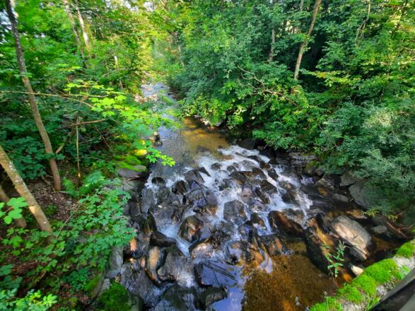 Arge bei Kleinweiler