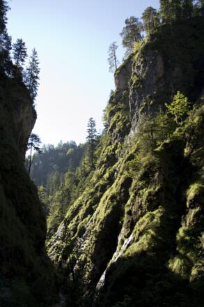 Seit der letzten Eiszeit hat sich der Almbach eine tiefe Schlucht geschaffen.