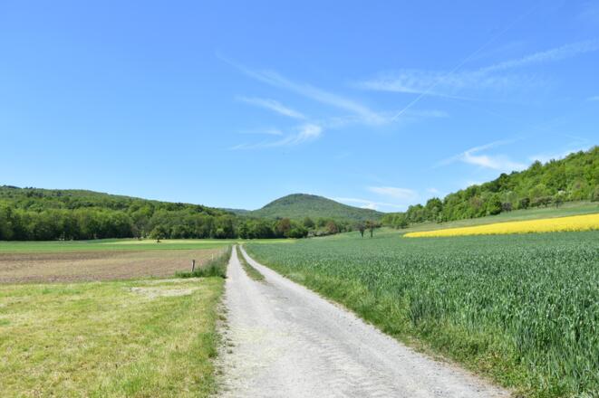 Kleiner Elstalweg, Rhön-Rundweg 11 Oberelsbach_1