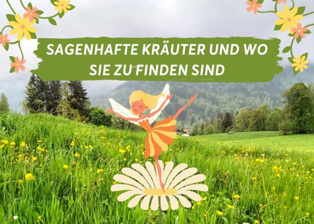 Sagenhafte Kräuter und wo sie zu finden sind - Titelbild