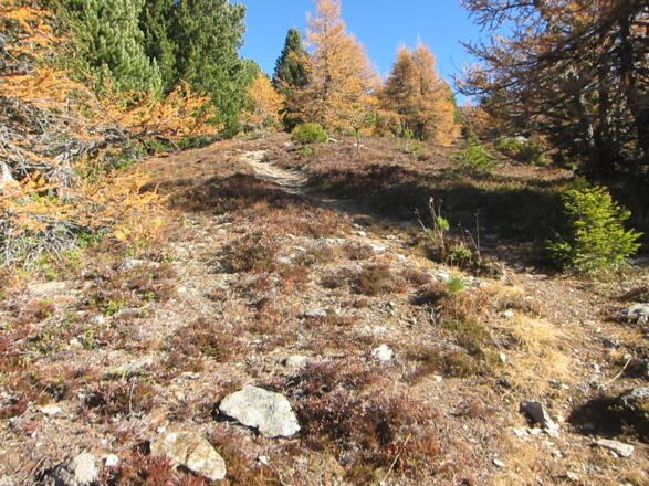 der Steig folgt dem Westrücken