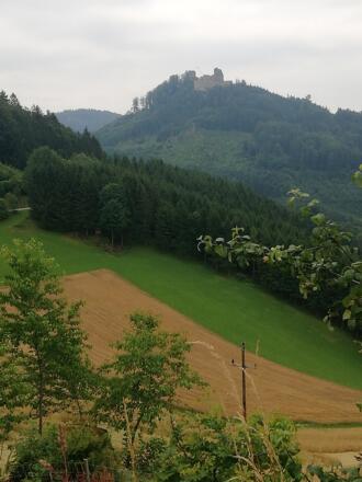 Blick zur Ruine Ruttenstein