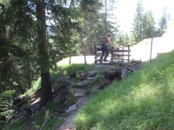 Über den Zaun und dann entlang der Forststraße bis zur beschilderten Abzweigung.