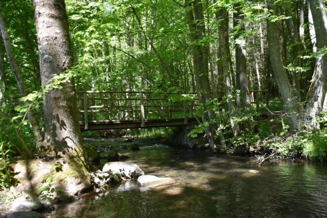 Kleiner Elstalweg, Rhön-Rundweg 11 Oberelsbach_3