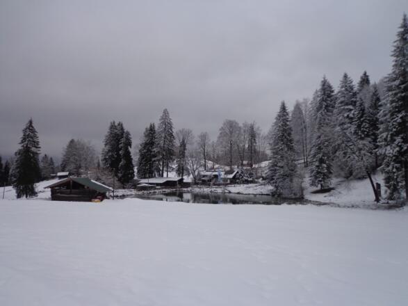 Kochelbergalm