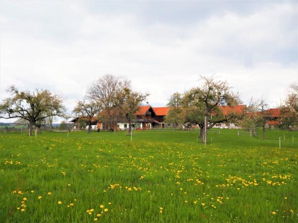 Bauernhof in Thal