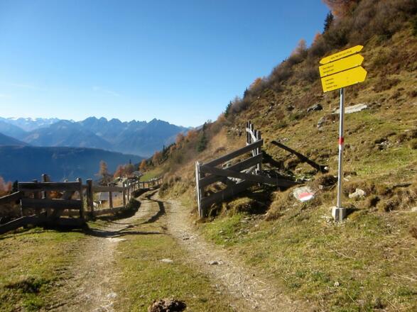 bis zur Forststraße im Arztal