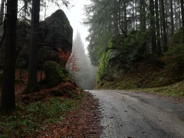 Am Weg zur Ruine Ruttenstein