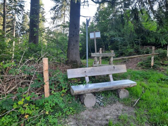 Wanderbank am Holz Bolsternang