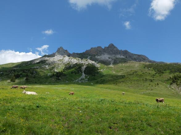 Auenfelderhorn und Karhorn
