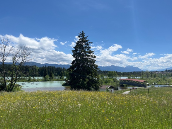 Lechsee bei Lechbruck
