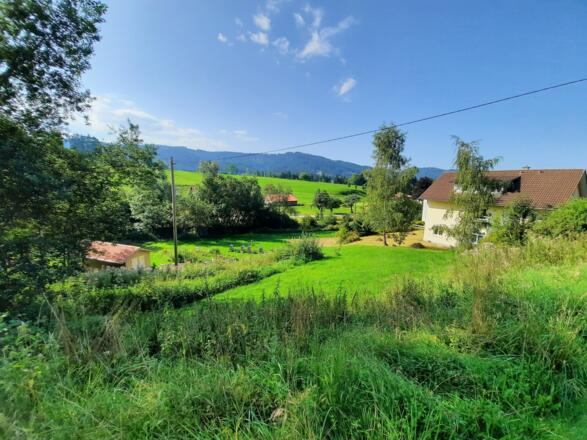 Aussichten in Bolsternang