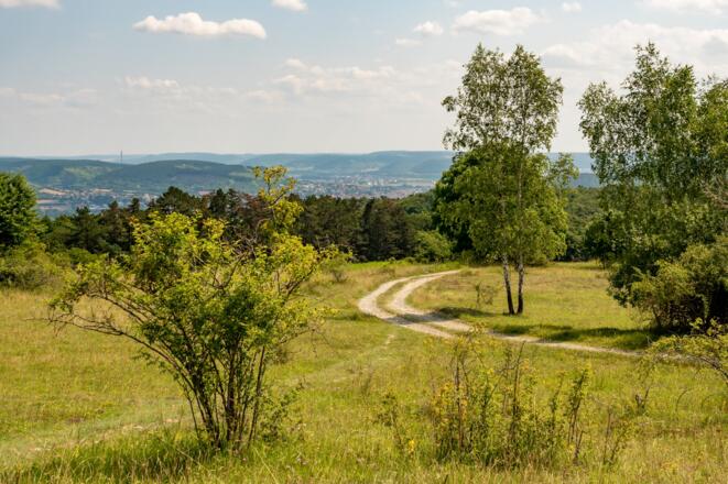 Am Sodenberg