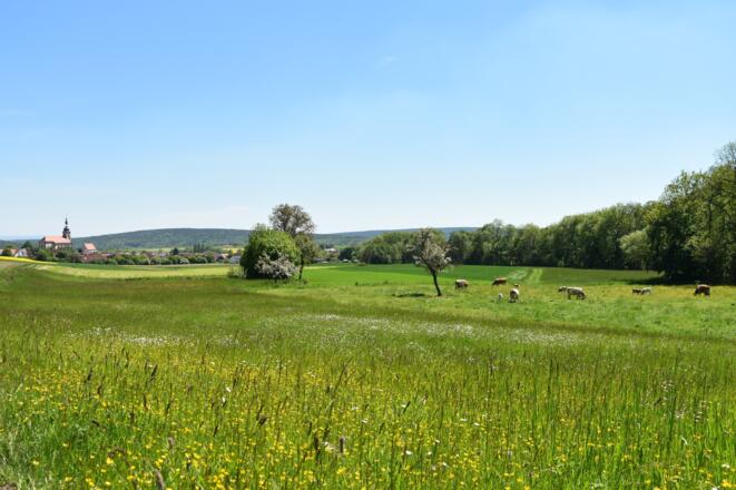Kleiner Elstalweg, Rhön-Rundweg 11 Oberelsbach_2