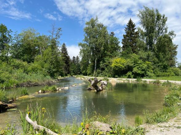 Lochbach beim Mandichosee