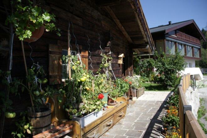Sommer III