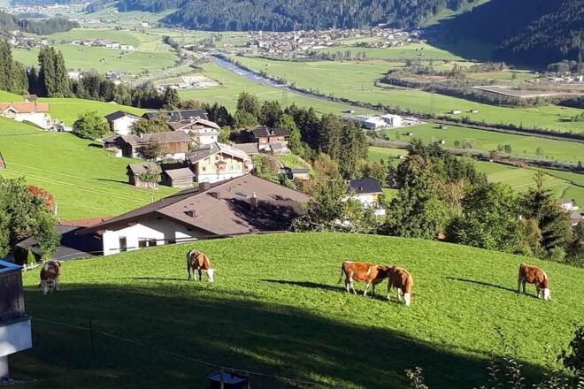 Ausblick ins Tal im Sommer
