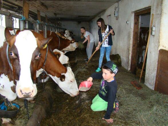 Tiere 3