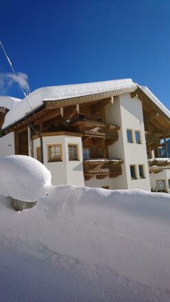 Stockenbaum im Winter