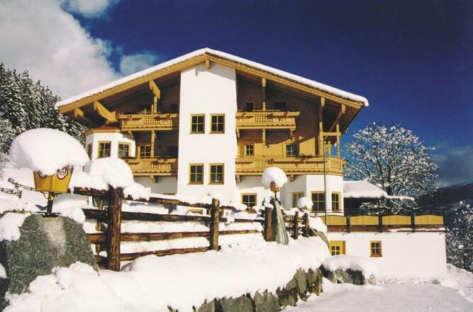 Stockenbaum im Winter
