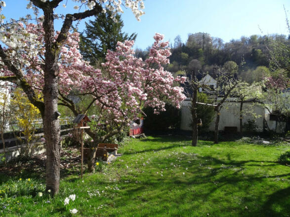 Garten im Frühjahr mit Blick zur Befreiungshalle