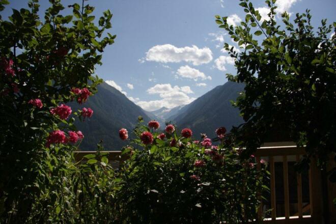 Aussicht Sommer