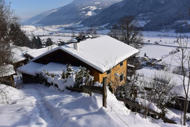 Winter