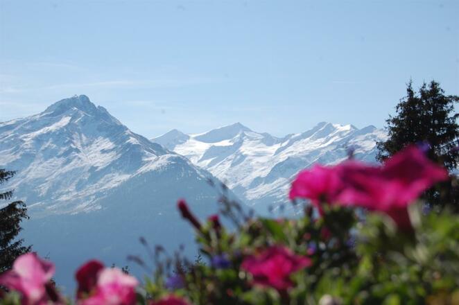 Steineralm, Traumhütte