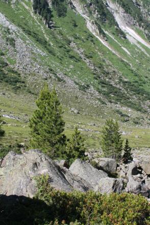IMG_1941