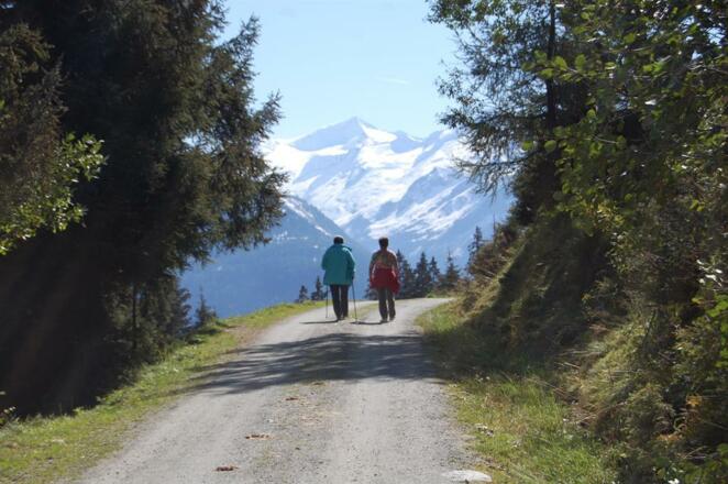 Steineralm, Wanderung