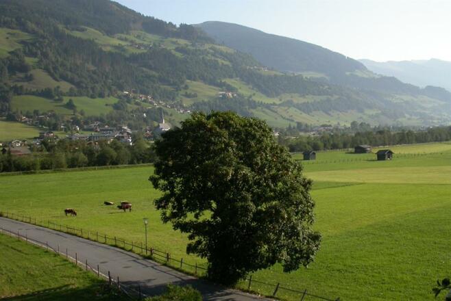Blick auf Bramberg