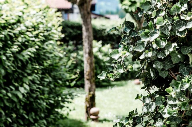 Apartments Blaickner-184