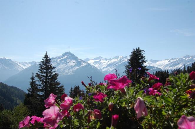 Steineralm, Aussicht