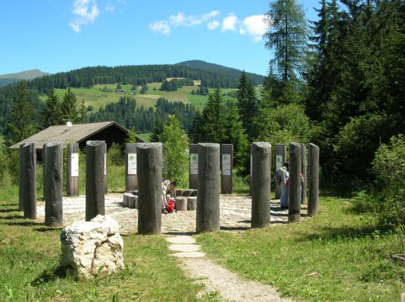 ... und dem keltischen Baumhoroskop